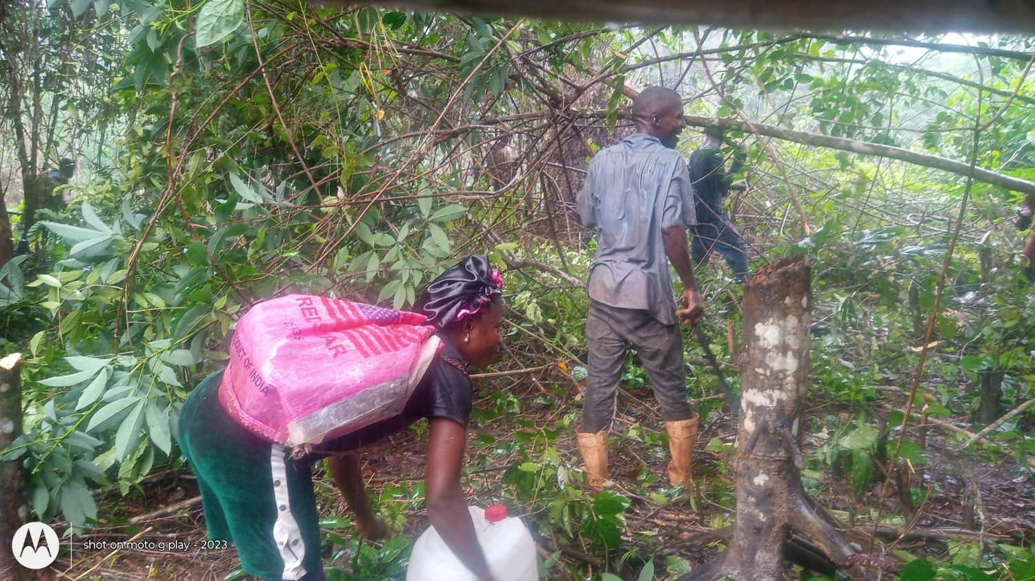 CrestaSeed farmland preparation in 2026: farm team working on the site